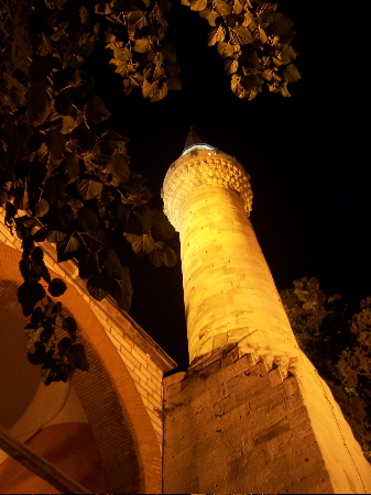 minaret & leaves.JPG.jpg